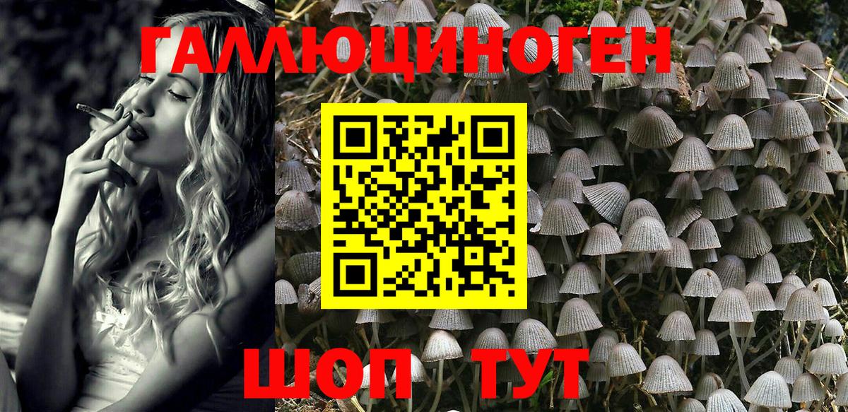 Галлюциногенные грибы GOLDEN TEACHER Усть-Джегута